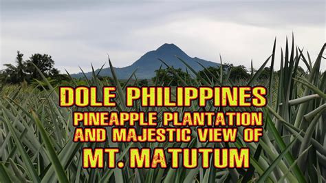 Dole Philippines Daily Adventures .